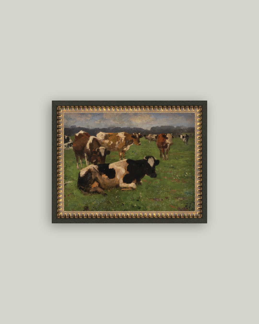 Cows On A Meadow