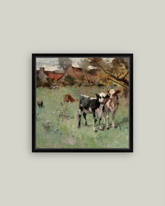 Two Cows in a Pasture