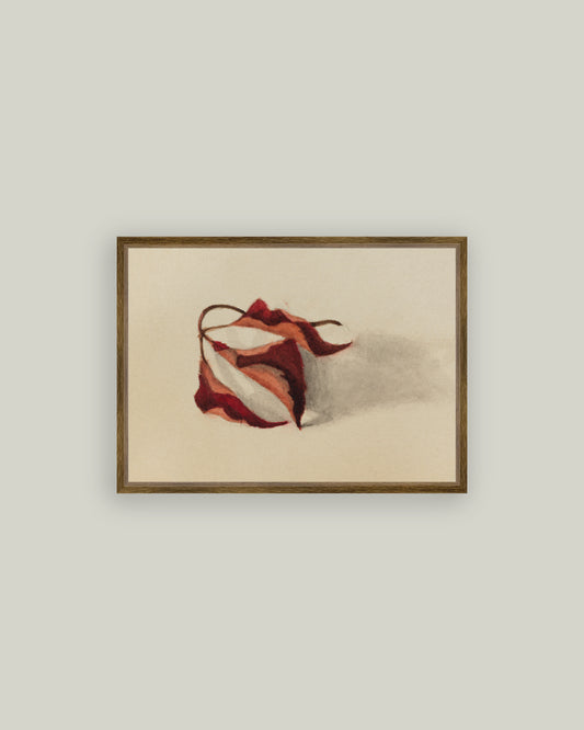 Curled Autumn Leaves