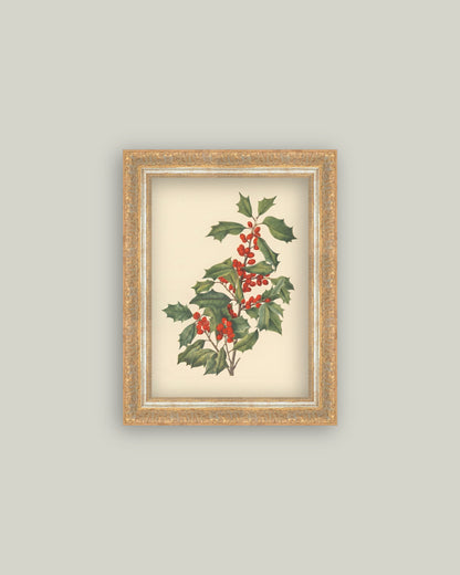 December Berry