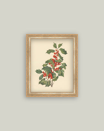 December Berry