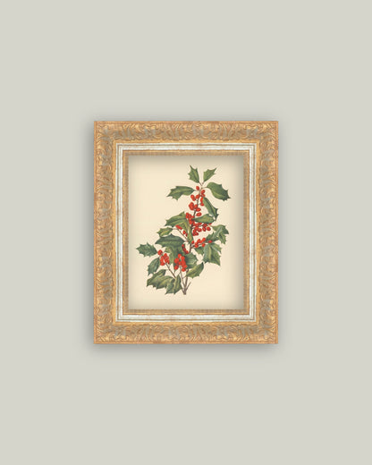 December Berry