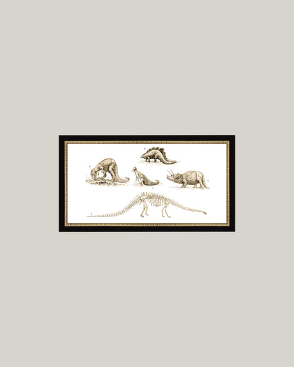 Dinosaur Discoveries