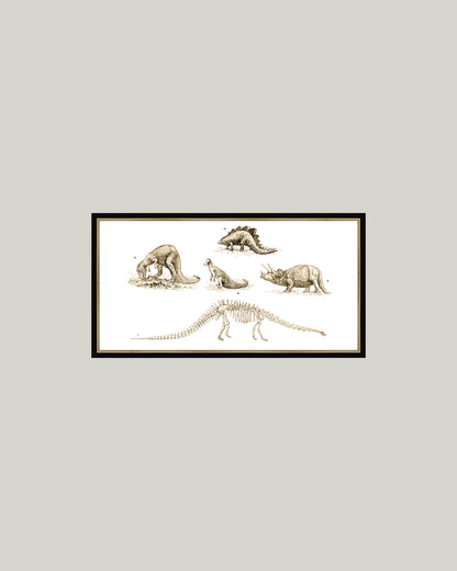 Dinosaur Discoveries