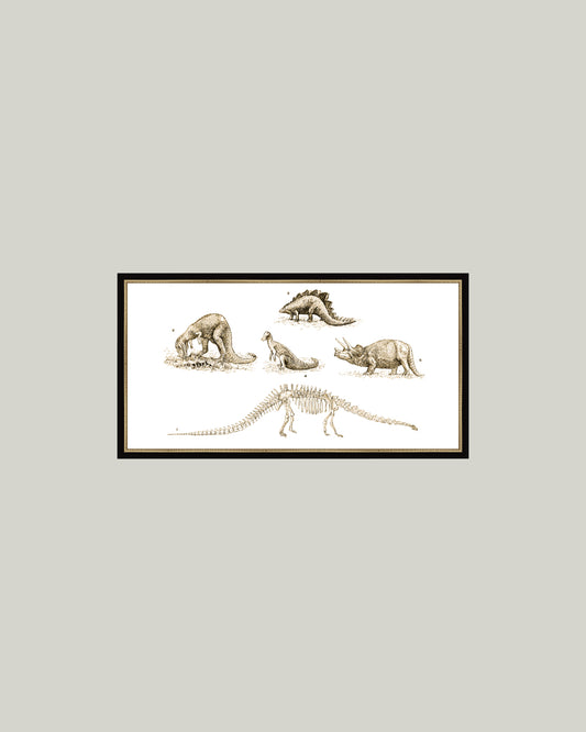 Dinosaur Discoveries