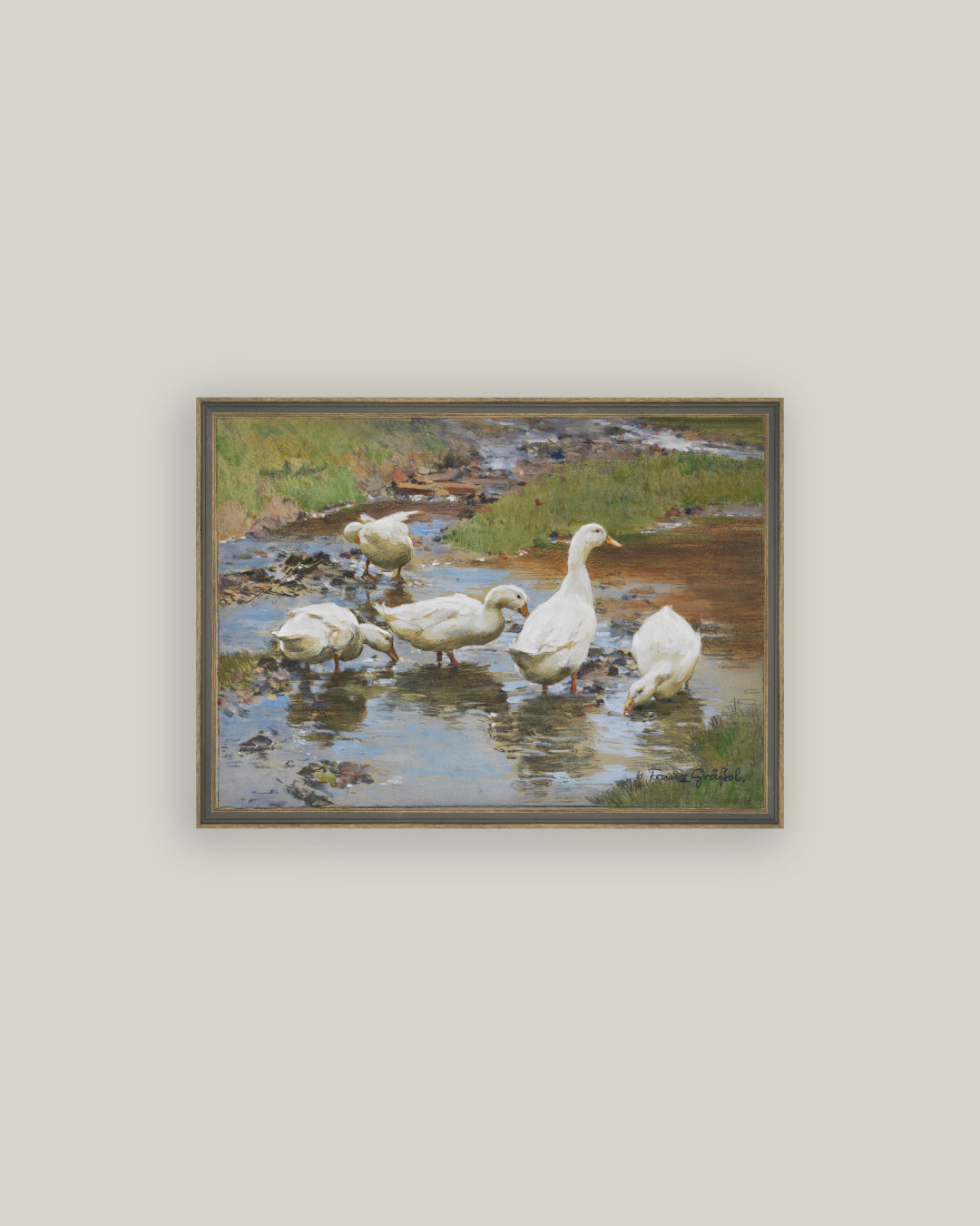 Ducks on the Water