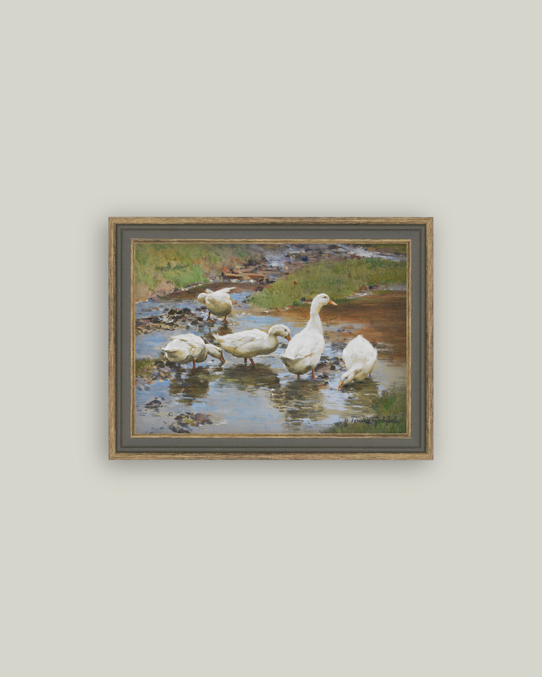 Ducks on the Water