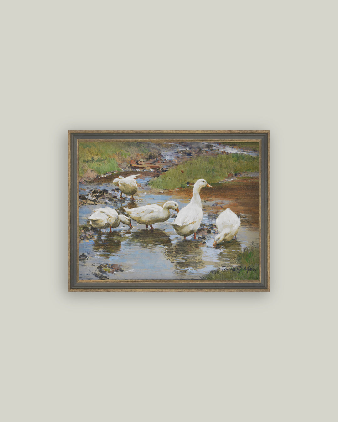Ducks on the Water