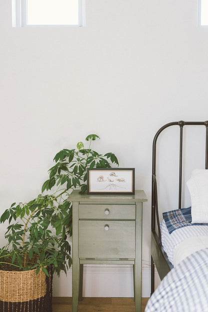 Dinosaur Discoveries