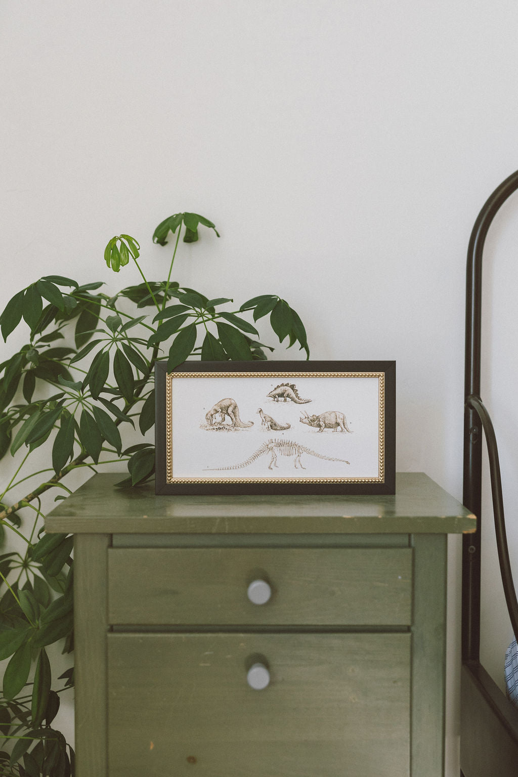 Dinosaur Discoveries