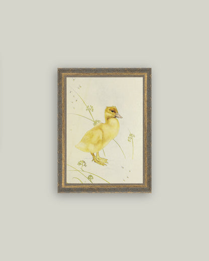 Duckling