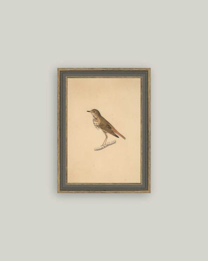 Everyday Art Set of 6