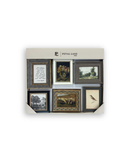 Set of six framed pictures, with vintage artwork, in a decorative box from 'Petal Lane' branding.