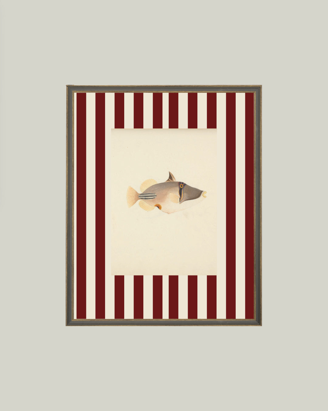 Fish on Stripes