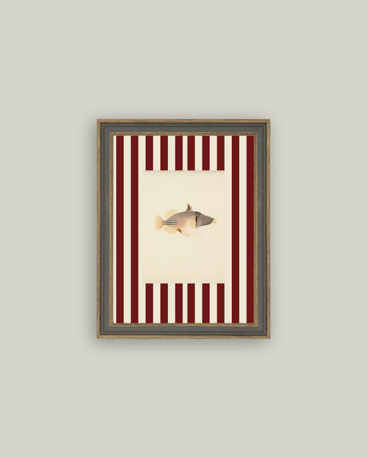 Fish on Stripes