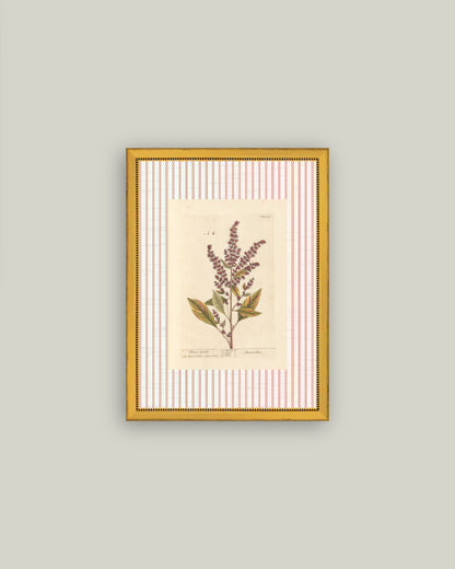 Flower Gentle