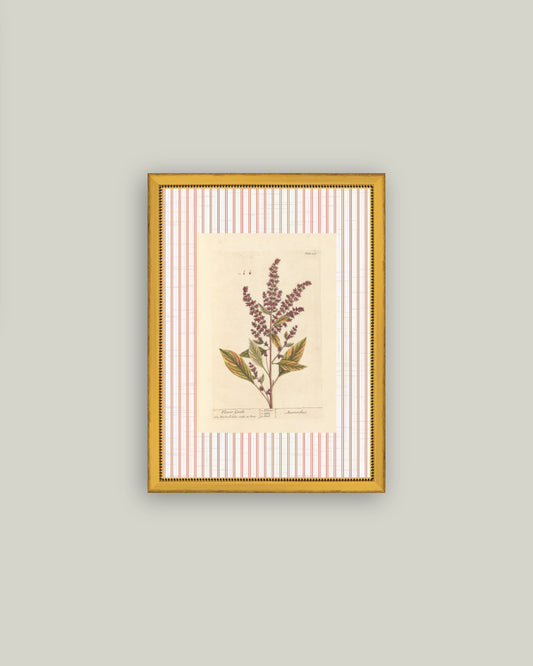 Flower Gentle