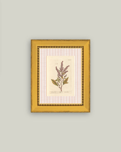 Flower Gentle
