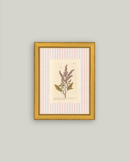 Flower Gentle