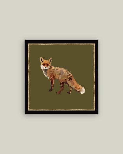 Fox Closeup