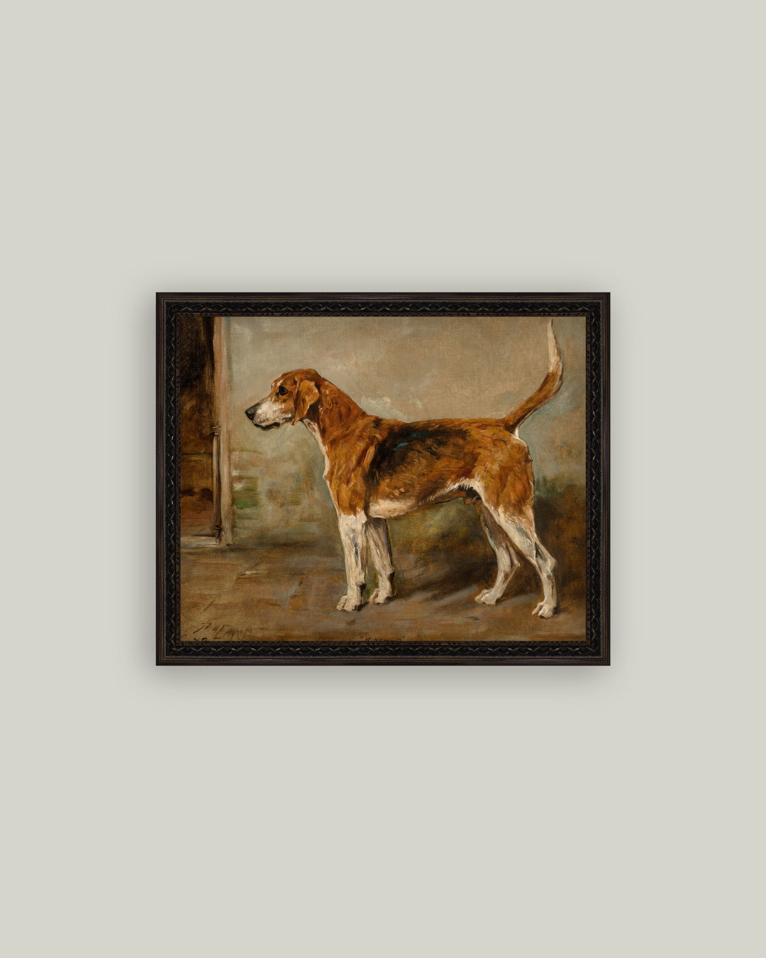 Fox Hound