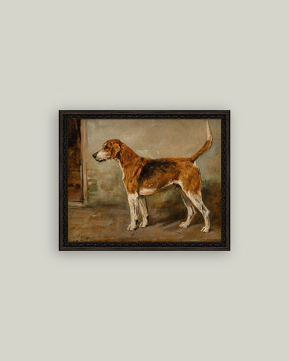 Fox Hound