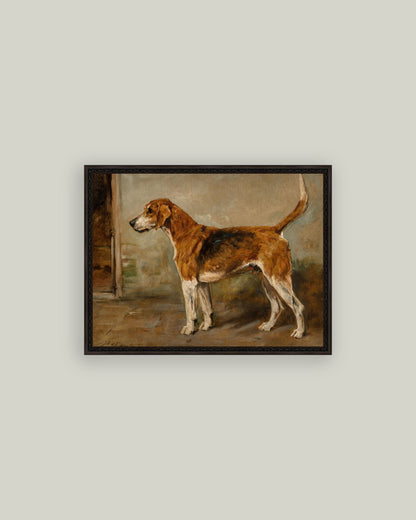 Fox Hound