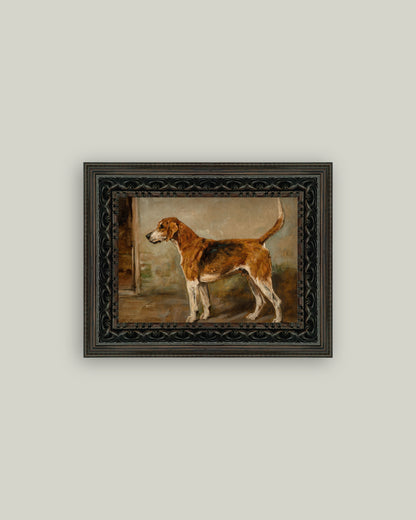 Fox Hound