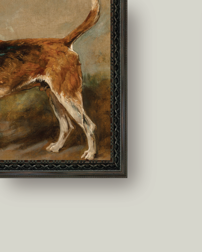 Fox Hound