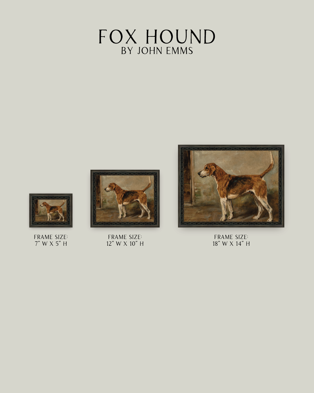 Fox Hound