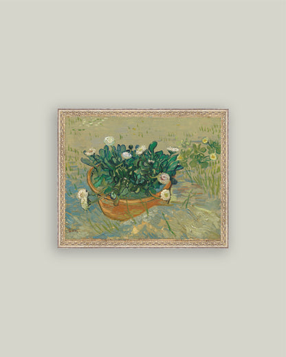 Basket of Daisies