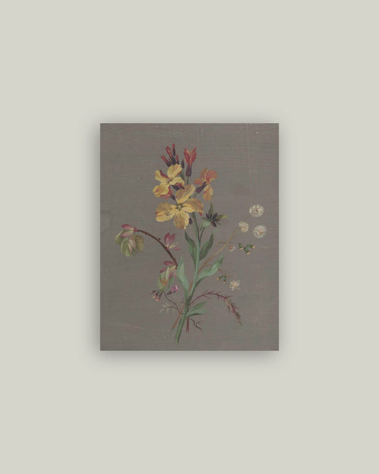 French Wildflower Artist Board