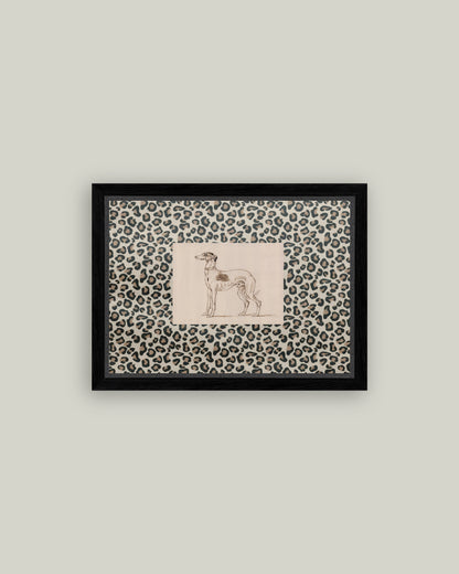 Greyhound