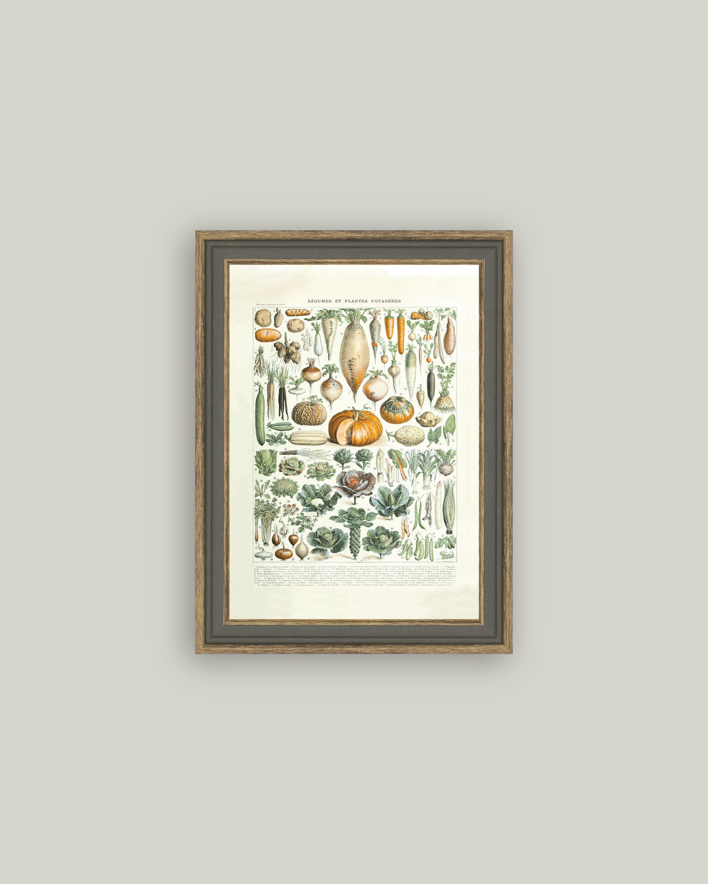 Legumes ET Plantes