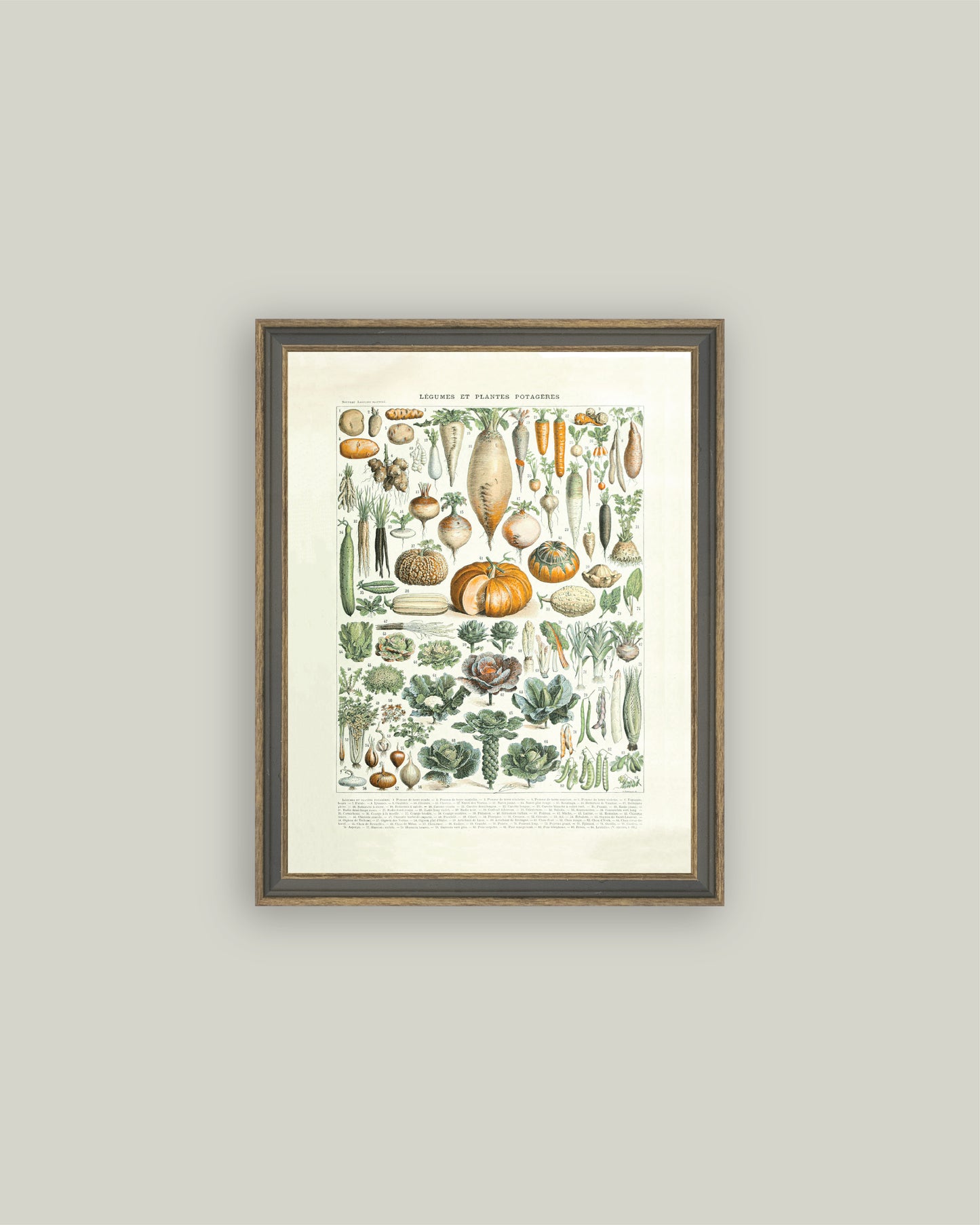 Legumes ET Plantes