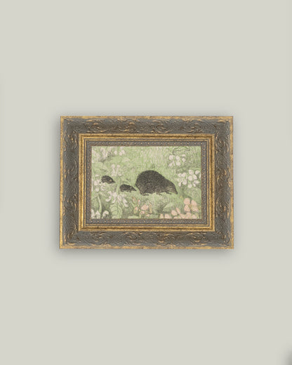 Hedgehog Family