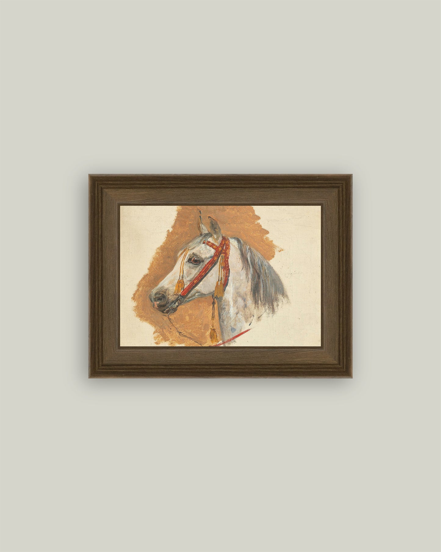 A Horse's Head with Red Bridle