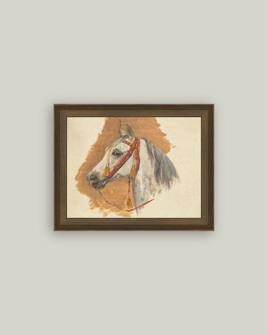 A Horse's Head with Red Bridle