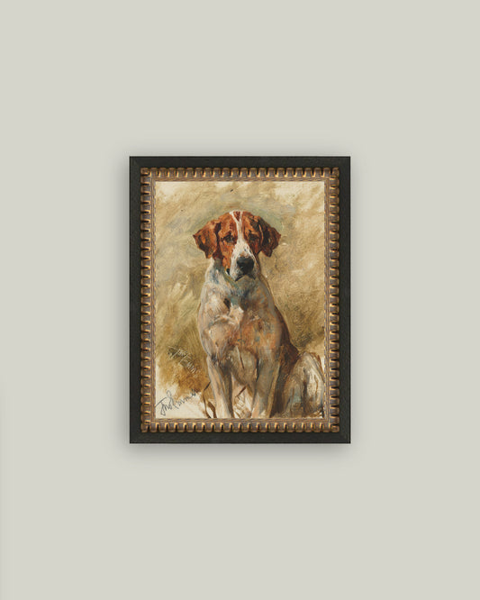 Study of a Hound