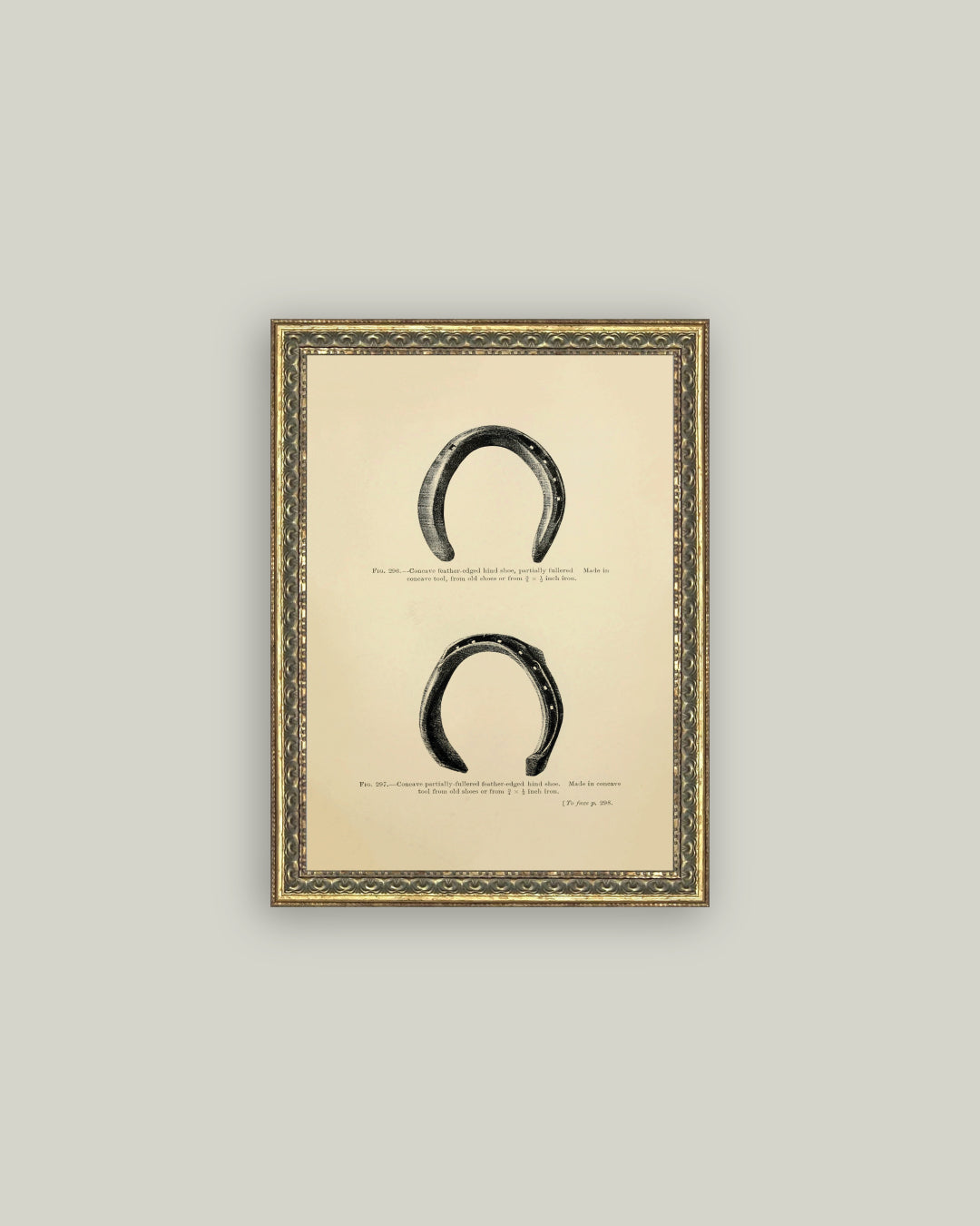 Horse Shoe Study