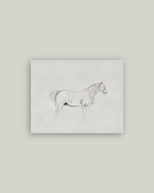 Horse Sketch Artist Board