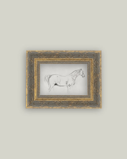 Horse Sketch