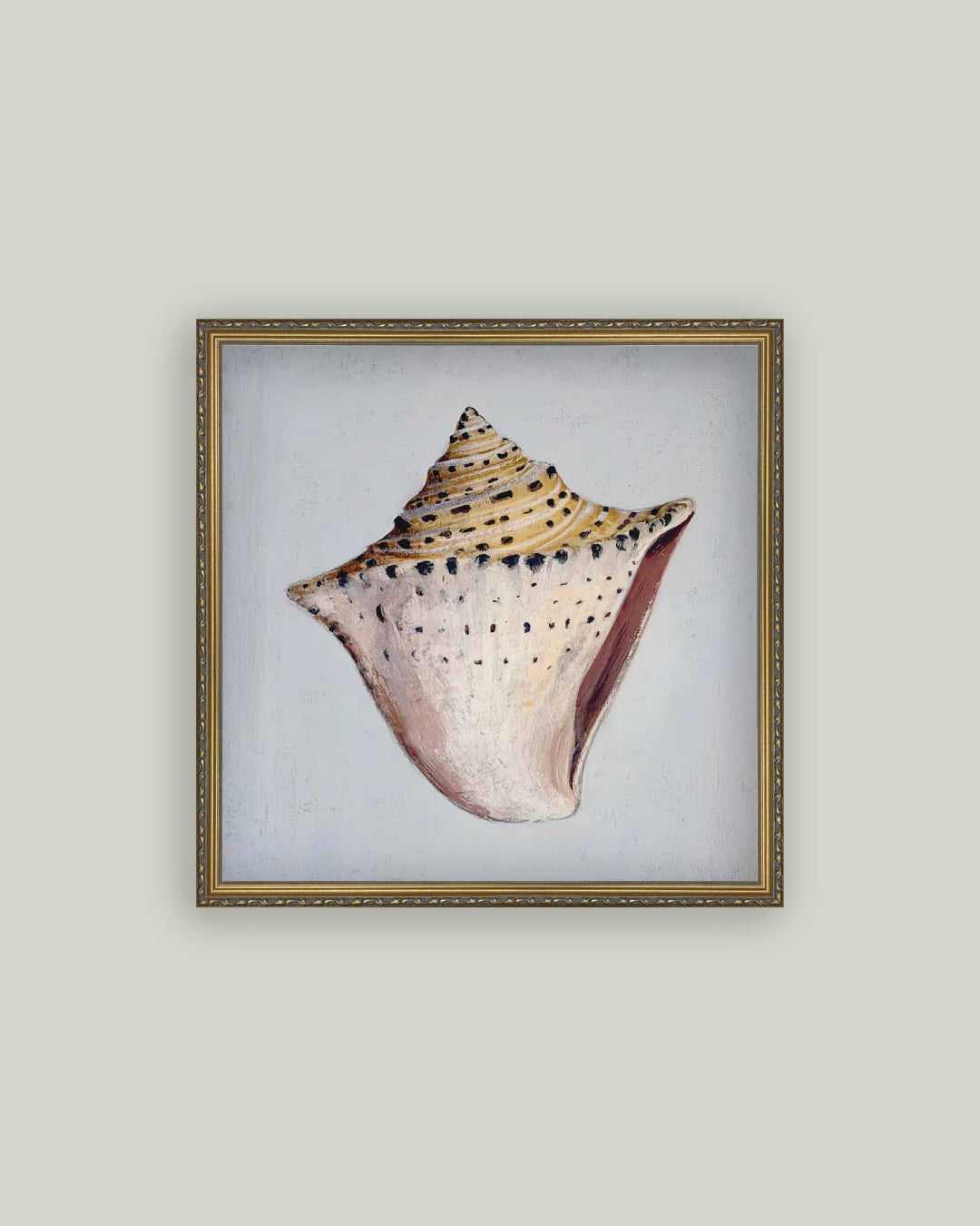 King Helmet Seashell