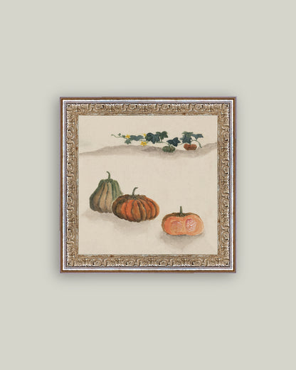 Kobacha Squash