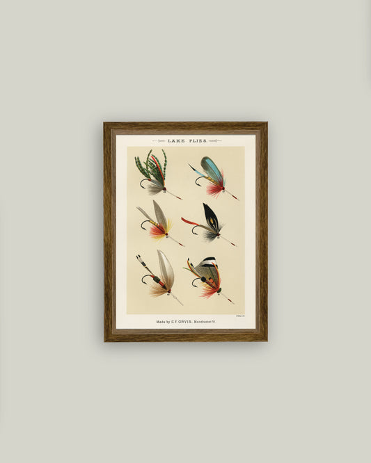Lake Flies