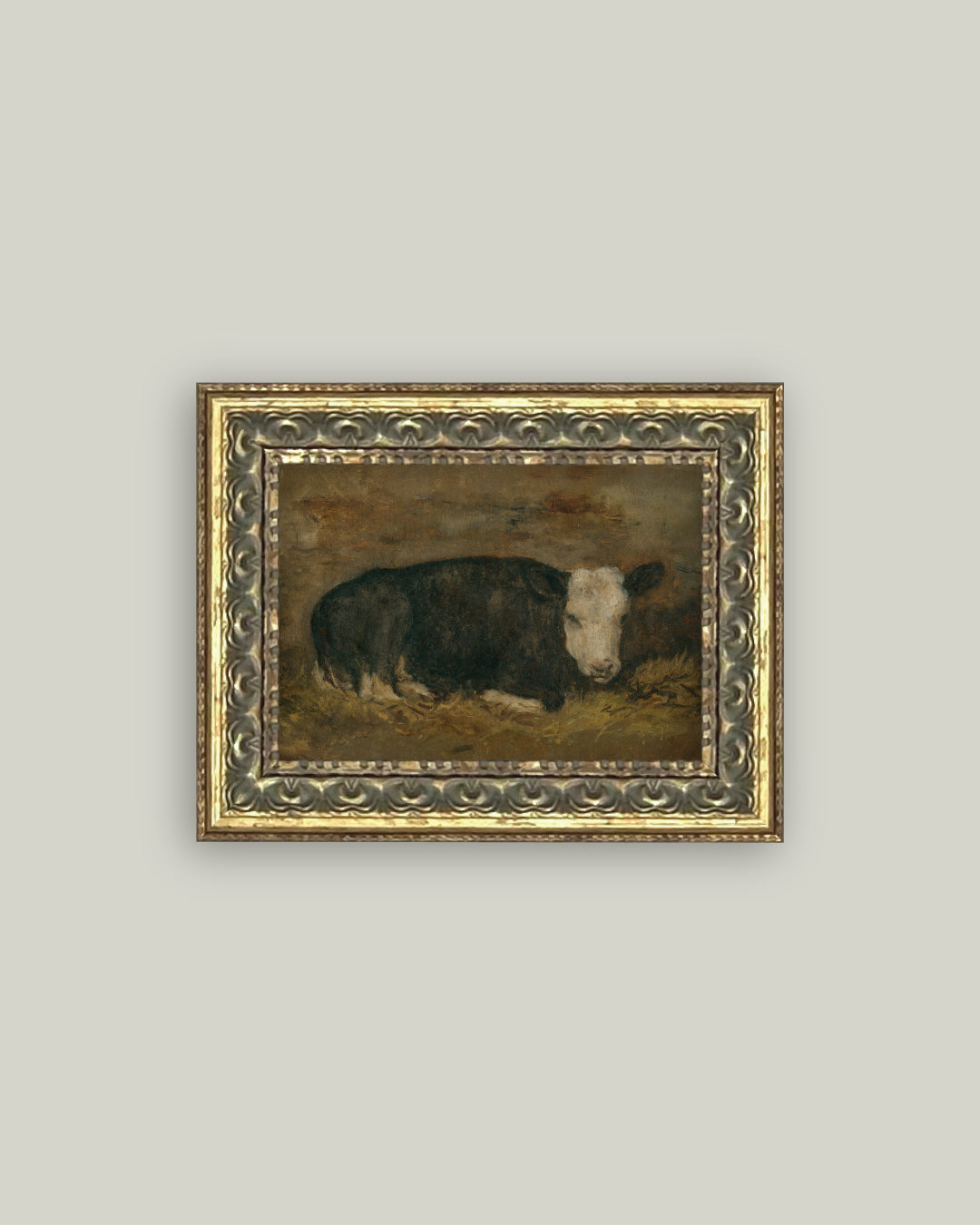 Lying Cow in Shed
