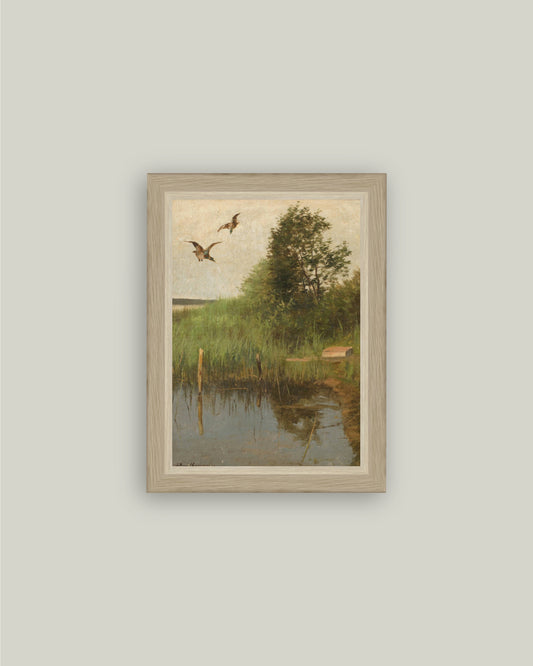 Mallards Taking Flight
