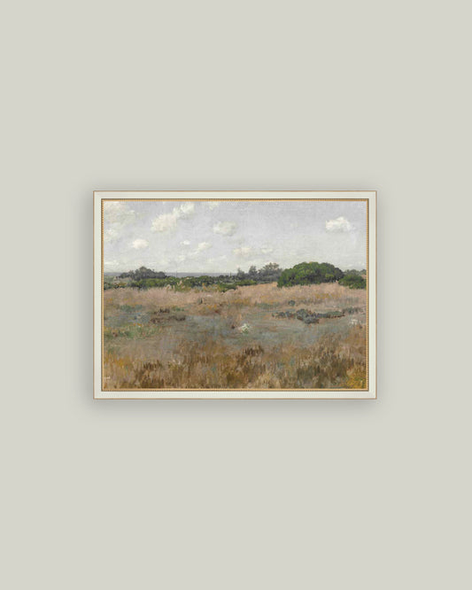 Meadow by the Shoreline