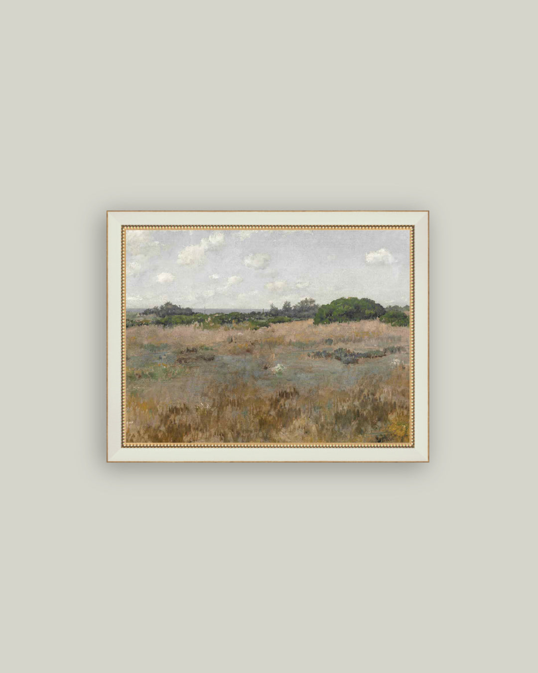Meadow by the Shoreline