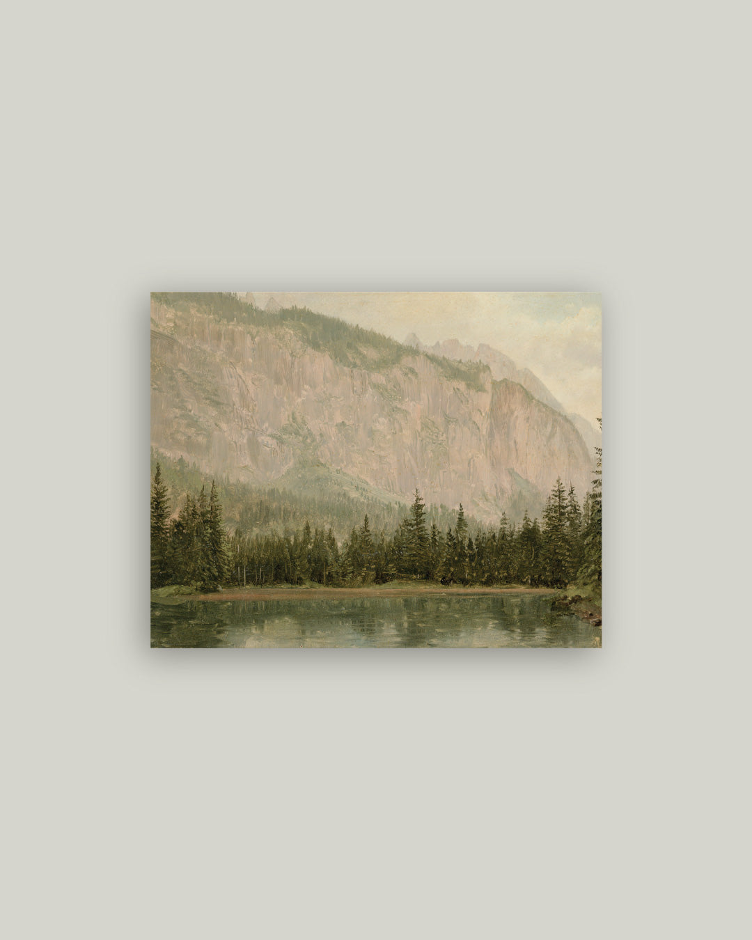 Mountain Pine Artist Board